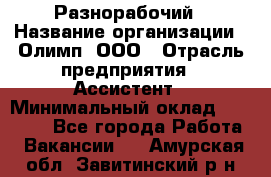 Разнорабочий › Название организации ­ Олимп, ООО › Отрасль предприятия ­ Ассистент › Минимальный оклад ­ 25 000 - Все города Работа » Вакансии   . Амурская обл.,Завитинский р-н